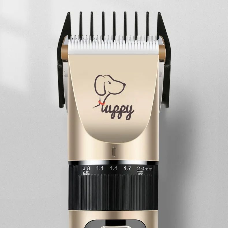 description-image-4